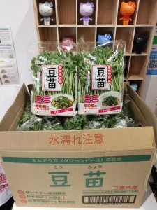 三重豆苗  200g*10?
