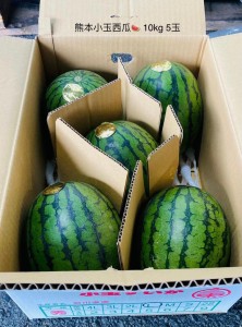 熊本小玉西瓜  5-6玉