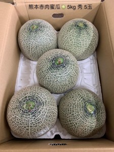 熊本赤肉蜜瓜  5玉