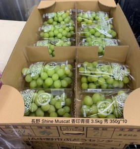 長野 Shine Muscat 香印青提  350g*10