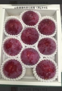 山梨貴陽布冧化粧箱  7-9玉