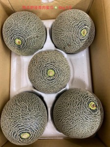 熊本肥後 Green 青肉蜜瓜5-6玉