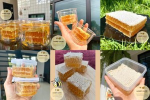 泰國直送天然優質龍眼花蜂窩