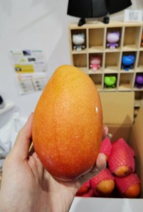 台灣貴妃芒果 6-8個裝