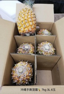 沖縄手撕菠蘿 8玉