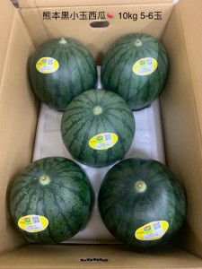 熊本黒小玉西瓜  5-6玉
